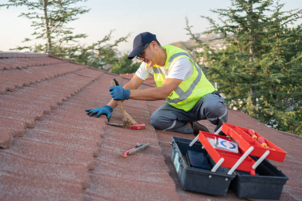 Best Metal Roofing Contractor  in Hillsboro, MO